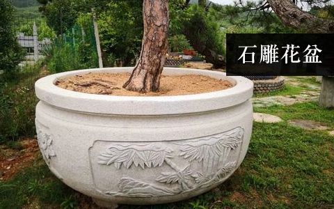 花盆花缽